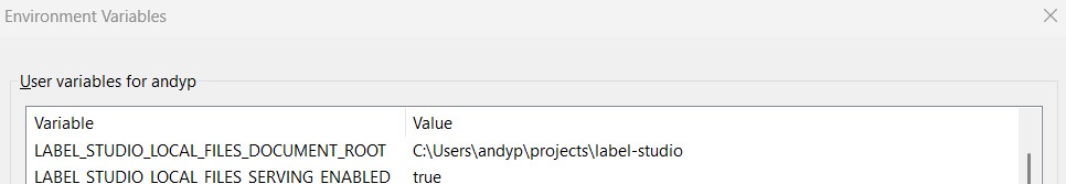 Environment variables setup